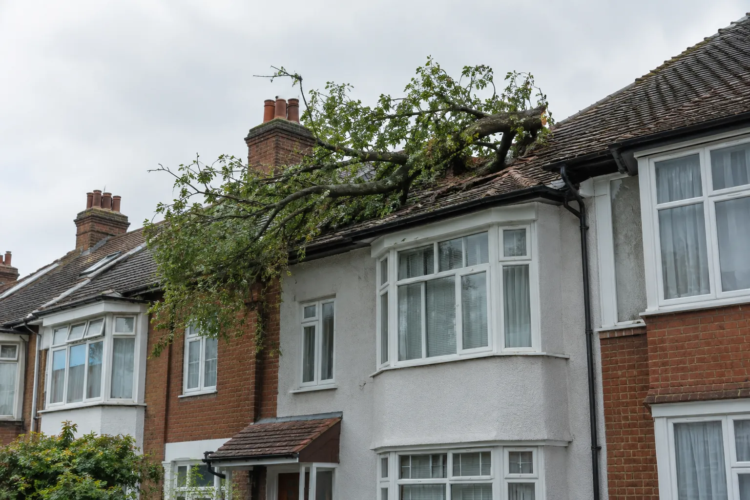 Fallen branch resting on a pitched tiled roof